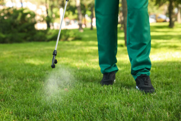 Best Pest Inspection Near Me  in Daniels Farm, CT