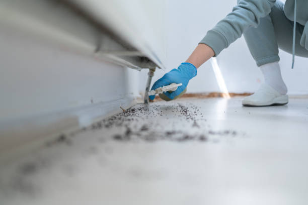 Professional Pest Control in Daniels Farm, CT